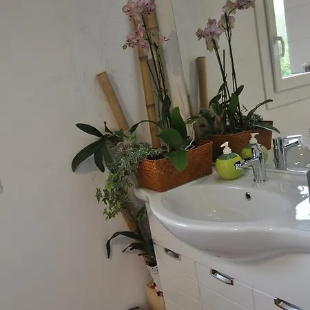 Il Giardino Di Romi